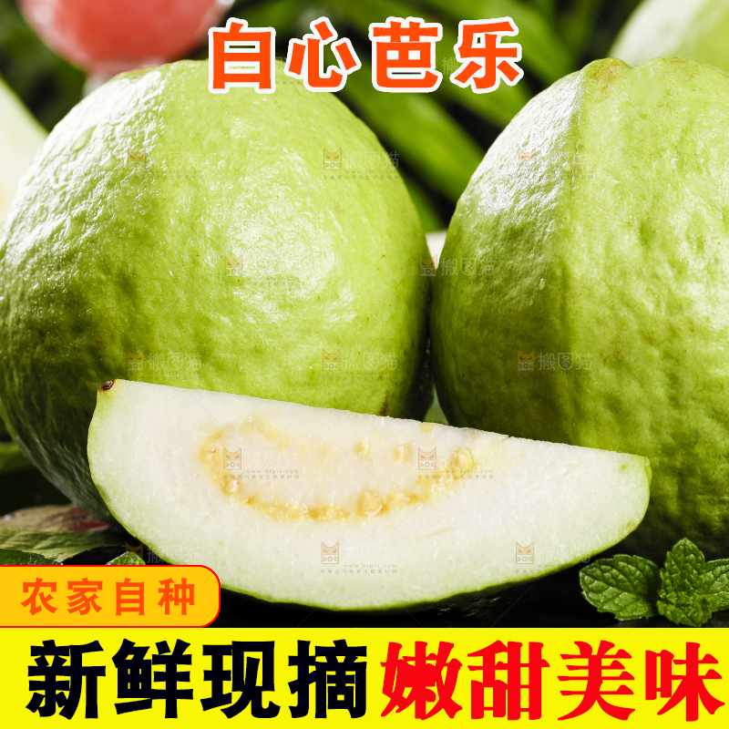一堆白心芭乐