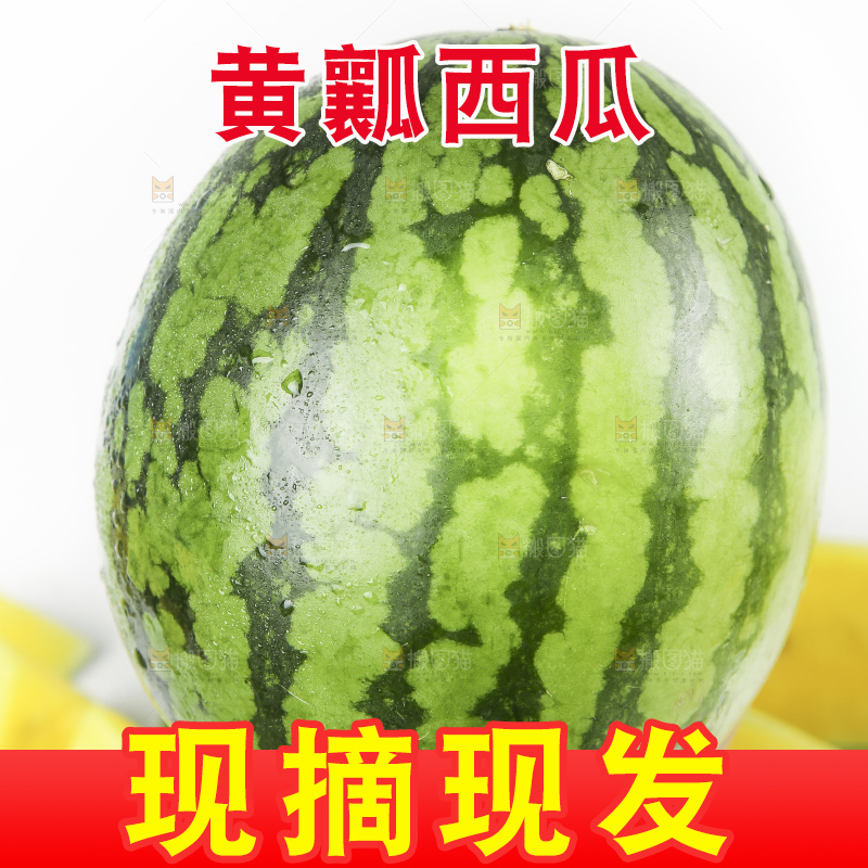 手拿黄心甜西瓜