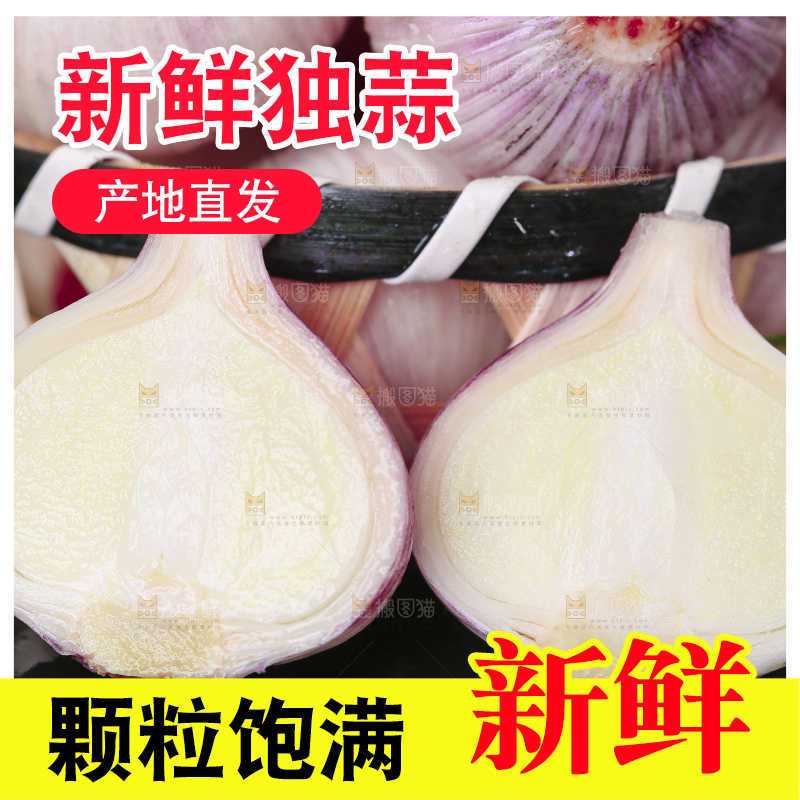 黑底上放着云南紫皮独头蒜