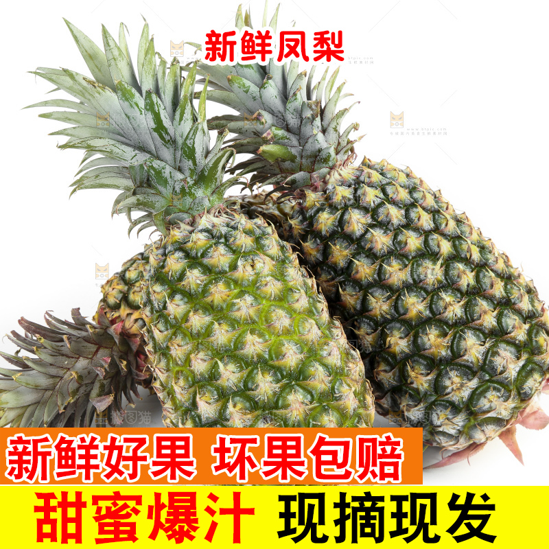 白底上的新鲜凤梨
