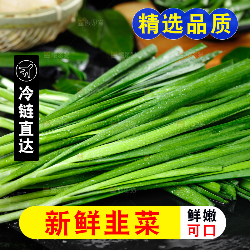 黑石板上的韭菜