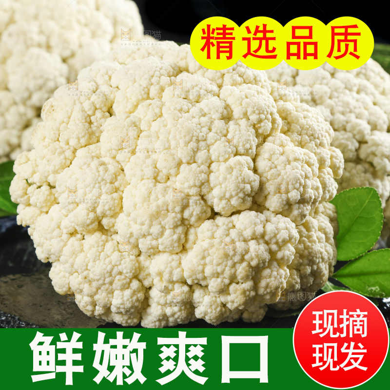 黑底上的山东新鲜白菜花