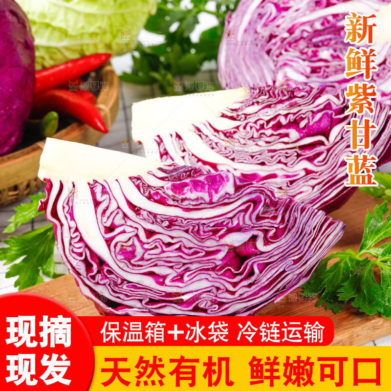 格子底上放着甘蓝