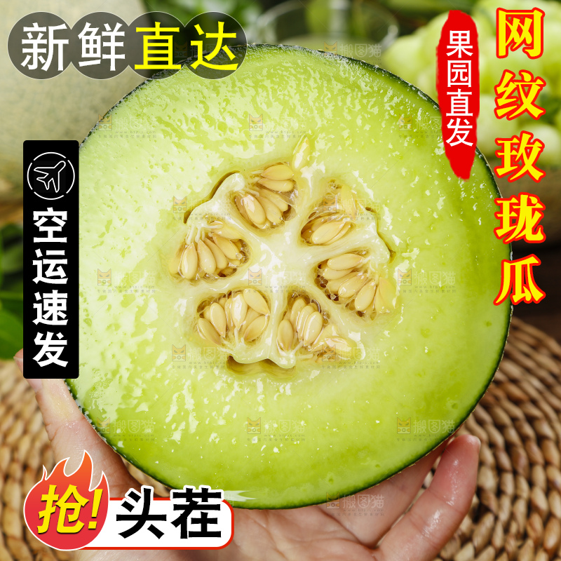 手拿切开的海南网纹蜜瓜