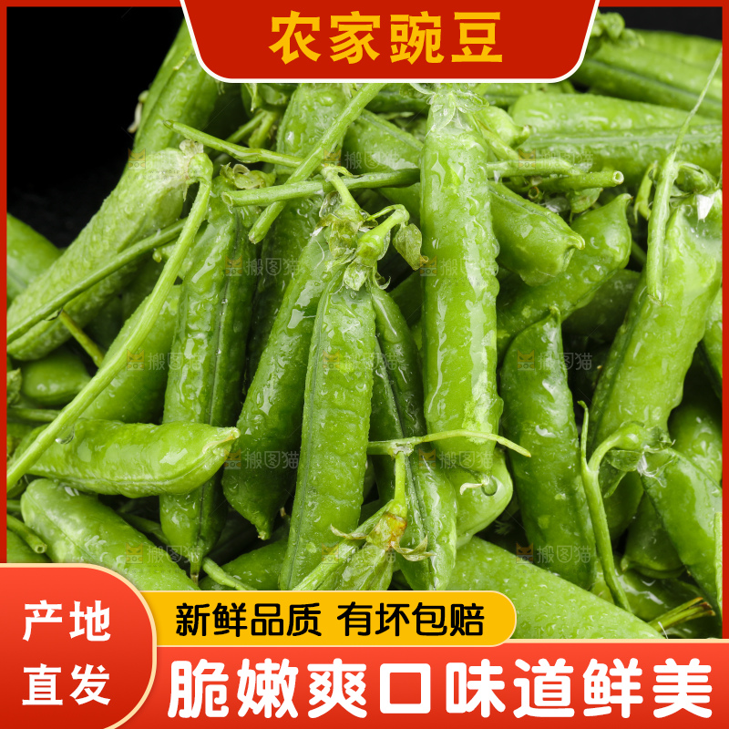 黑底上堆放着豌豆角