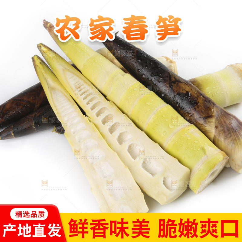 切开的临安春笋放在白底上