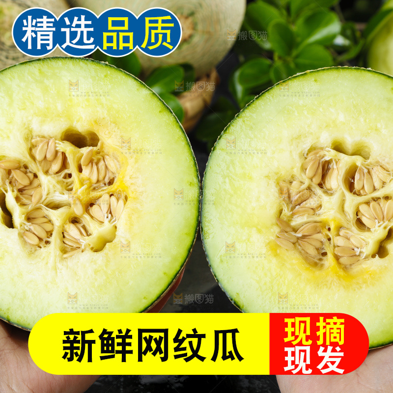 手拿切开的海南玫珑蜜瓜