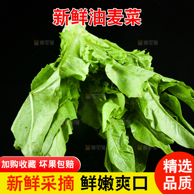 黑底上摆放着油麦菜