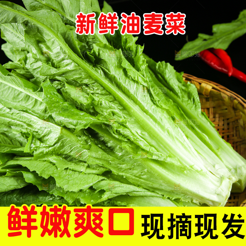 篮子里装着油麦菜