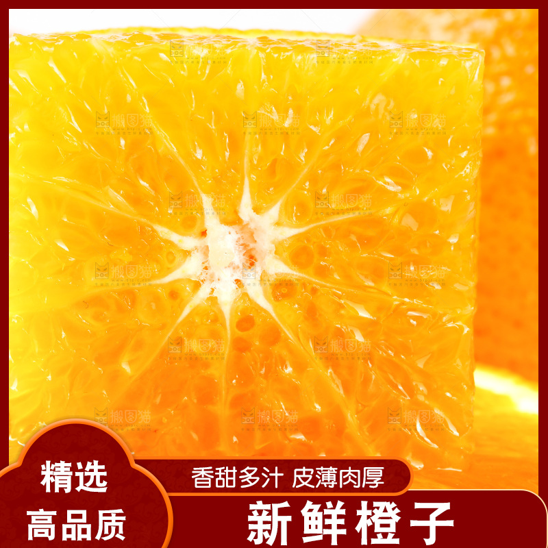 白底上放着新鲜橙子