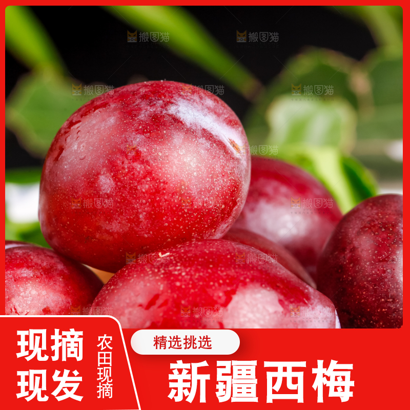 新鲜加州大西梅放在深底上