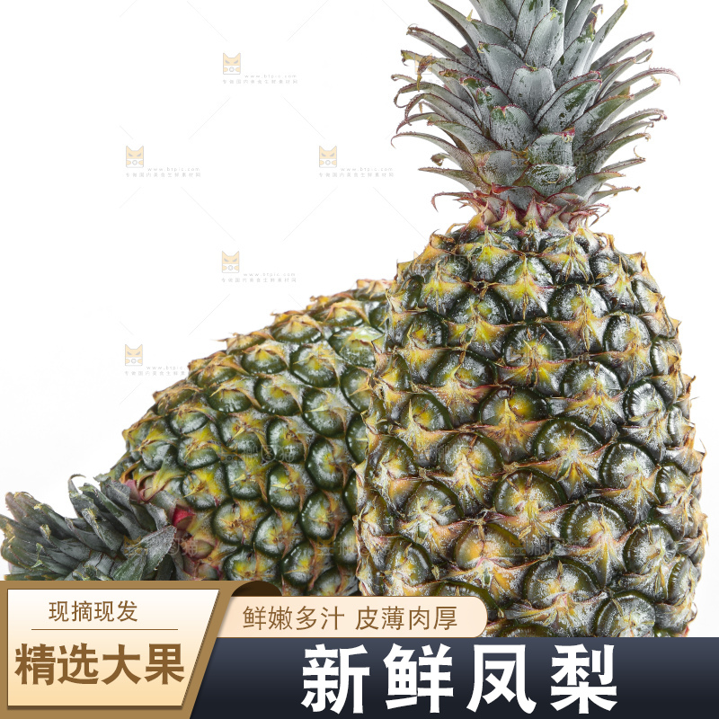 白底上的新鲜凤梨