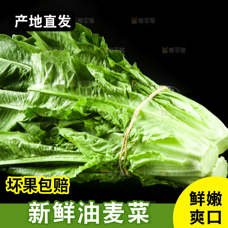 黑底上的油麦菜