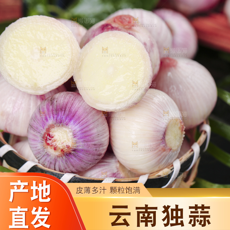 黑底上放着云南紫皮独头蒜