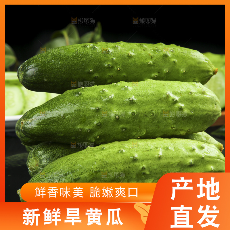 黑石板上的新鲜旱黄瓜