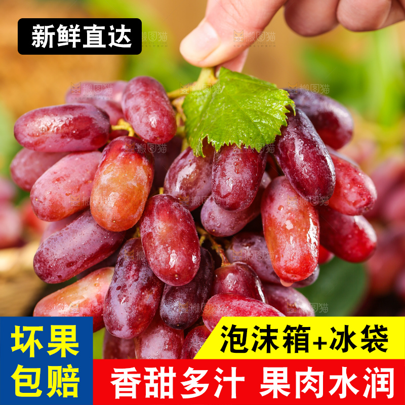 手里拿着美人指葡萄