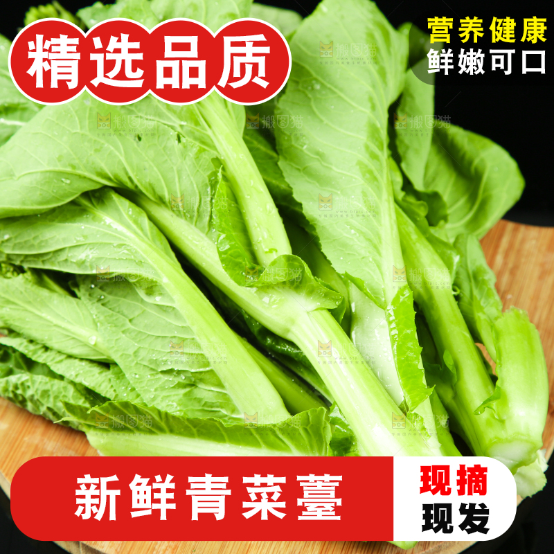 黑底上放着菜薹
