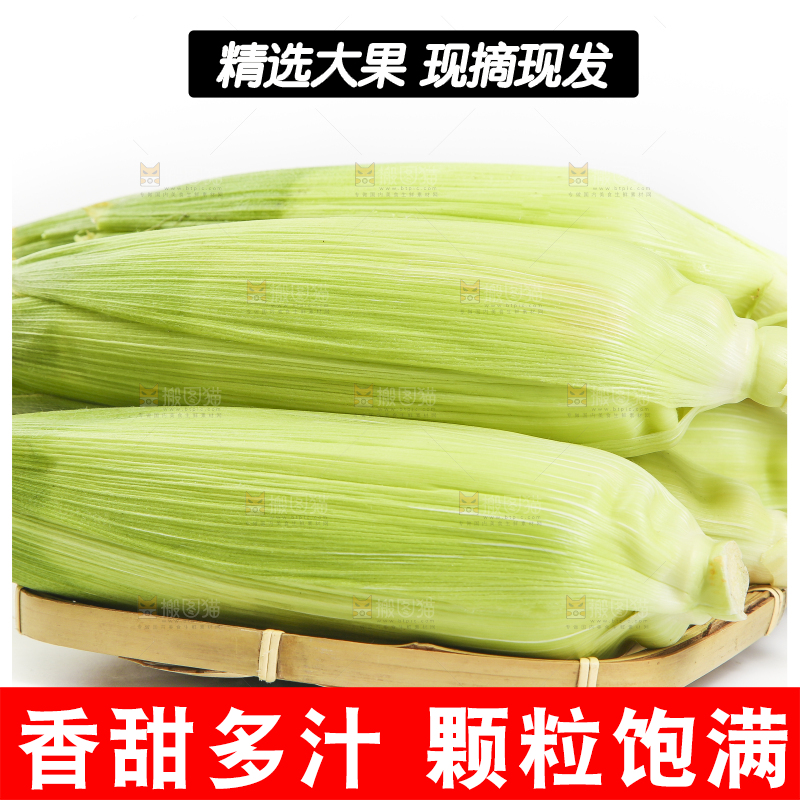 竹篮里装着东北甜玉米