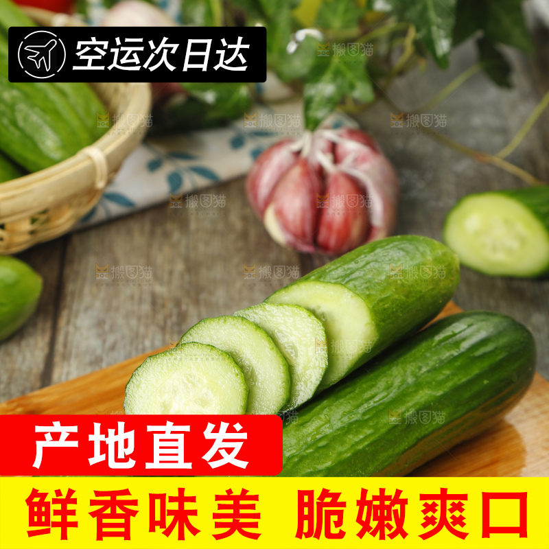 新鲜的山东水果黄瓜放在木板上