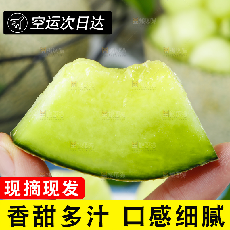 手拿切开的网纹玫珑蜜瓜