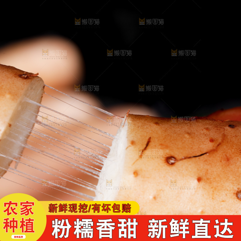 手里拿着小白嘴山药