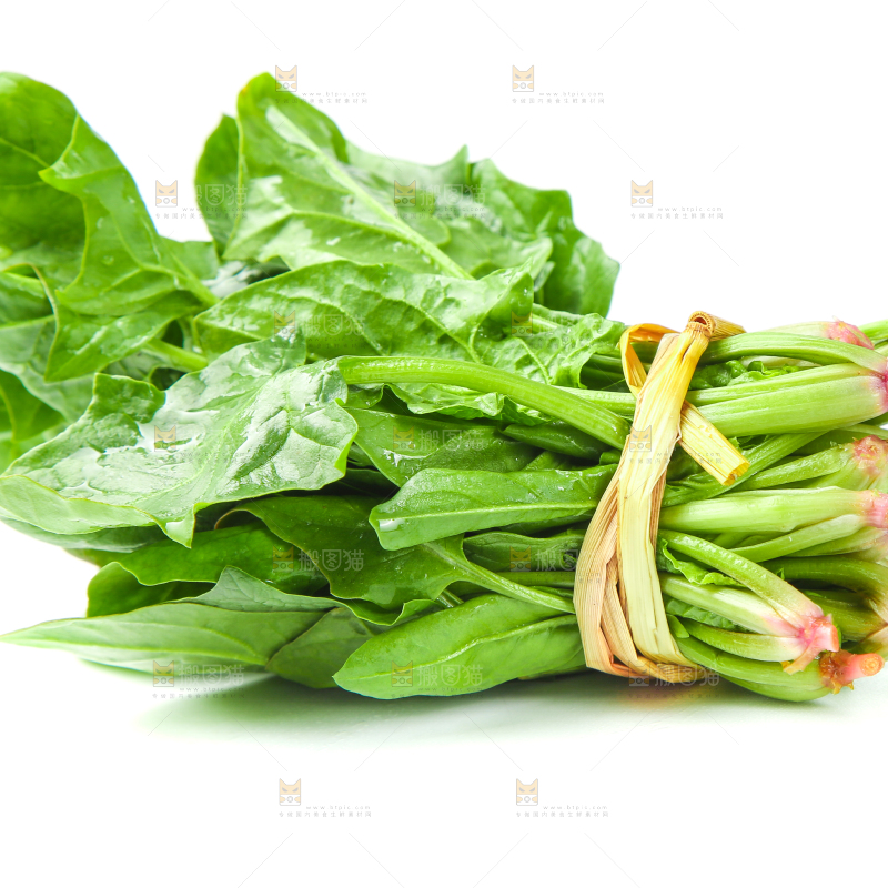 白底上放着新鲜菠菜