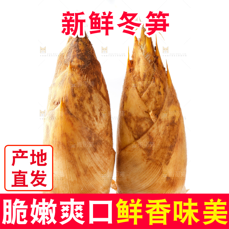 白底上摆放着冬笋