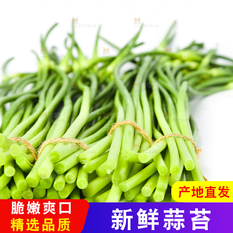 白底上放着新鲜蒜苔