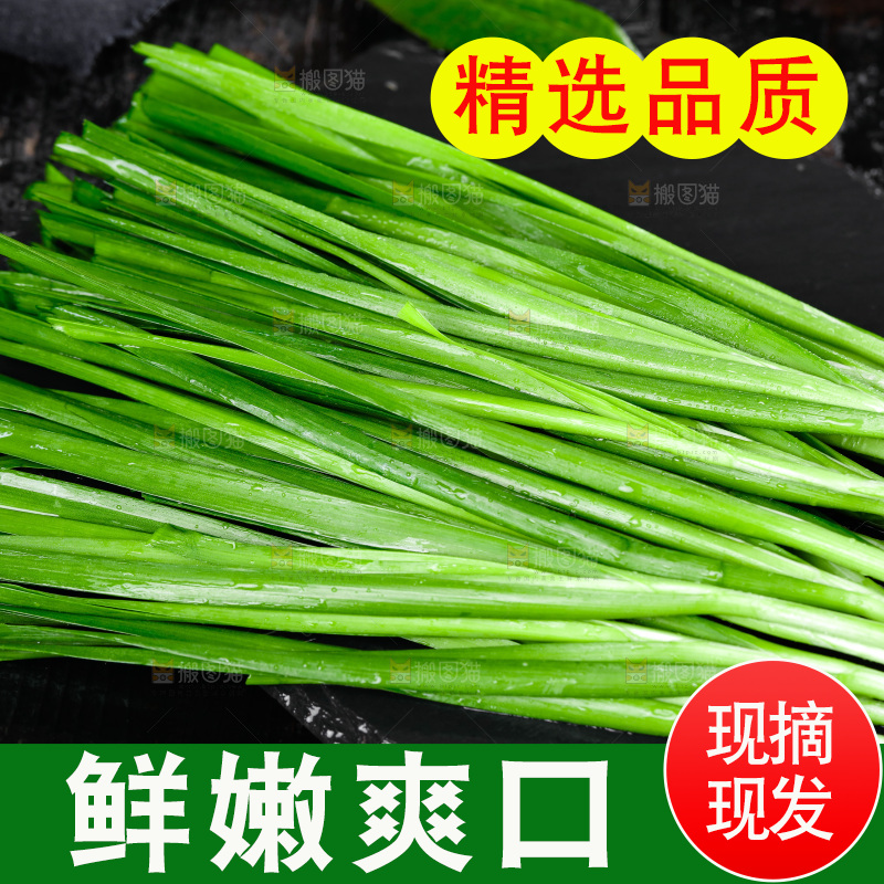 黑石板上的韭菜