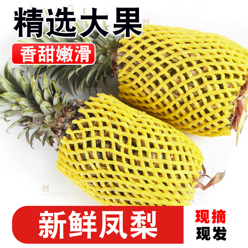 白底上的新鲜凤梨