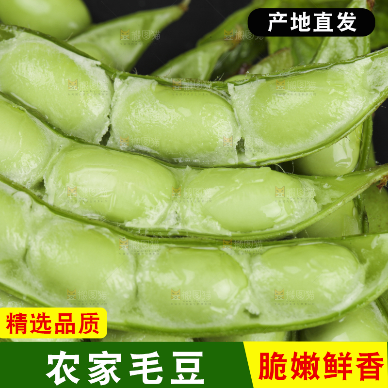 深底上放着新鲜毛豆