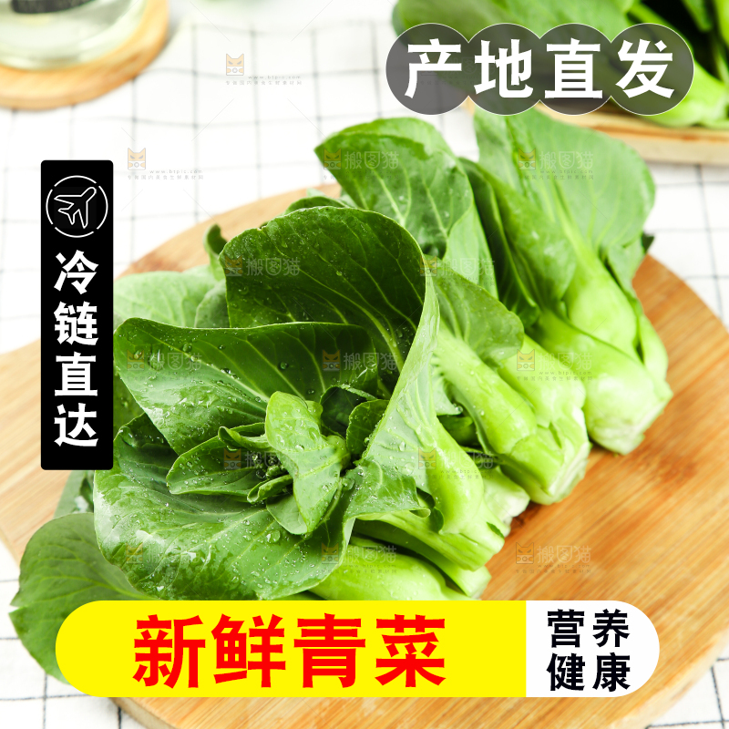格子底上放着农家青菜