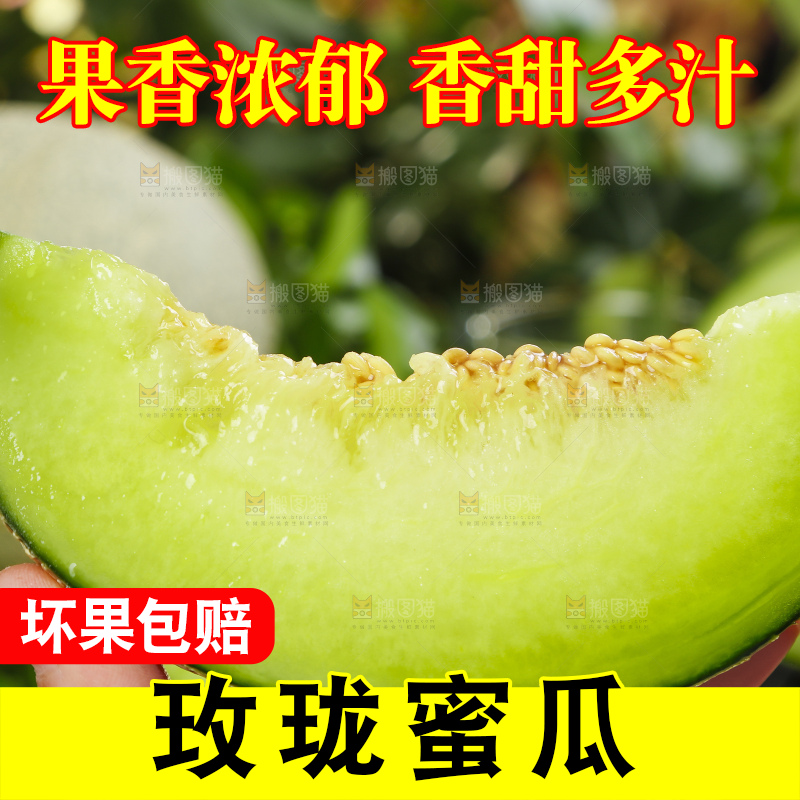 手拿切开的海南网纹蜜瓜