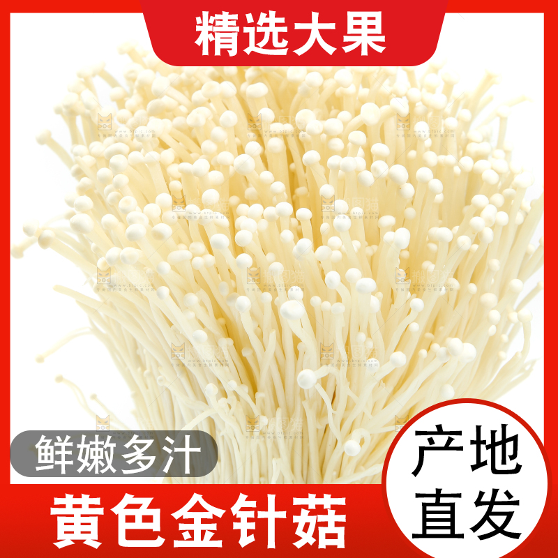 白底上的金针菇