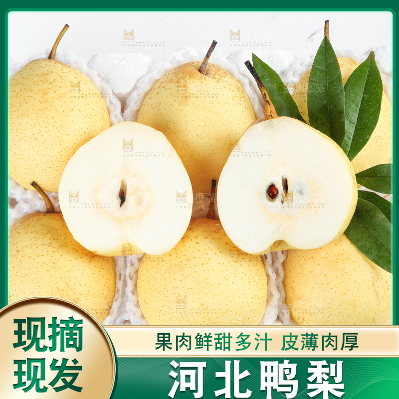 白底上摆放着鸭嘴梨