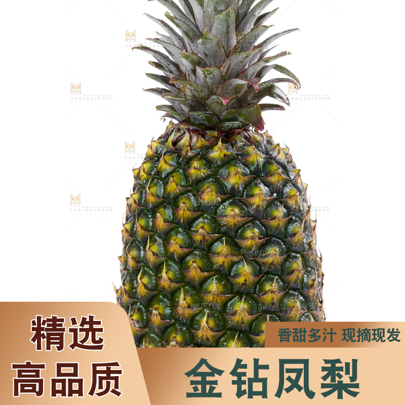 白底上的新鲜凤梨