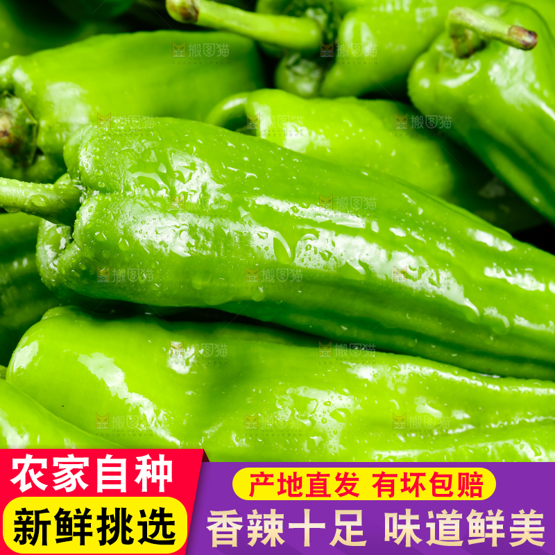 黑底上的辣椒