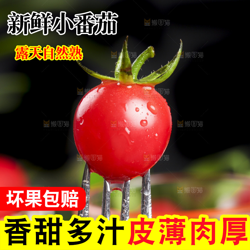 叉子叉着新鲜小番茄