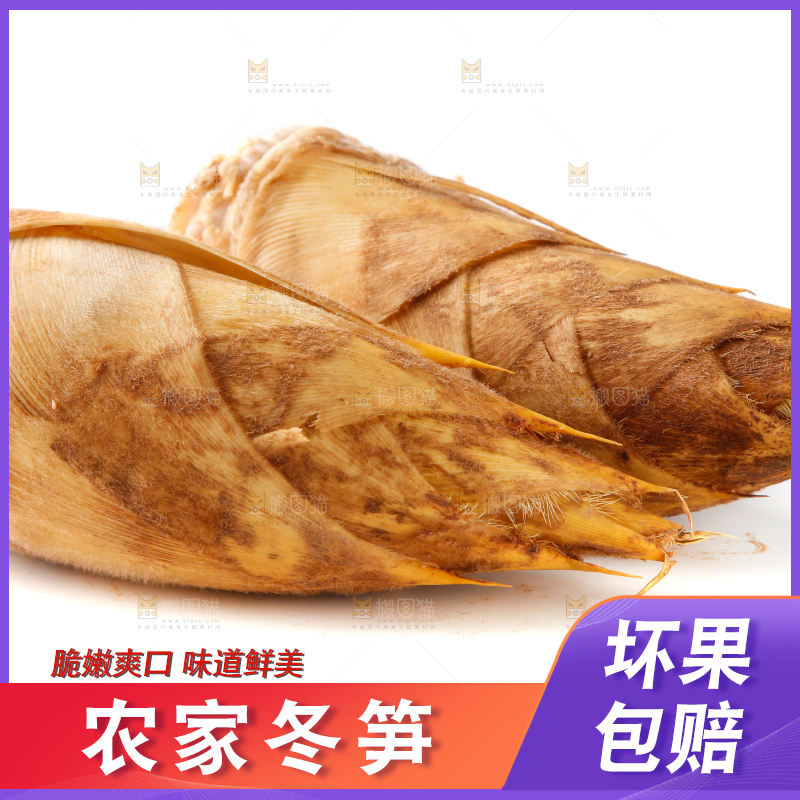 白底上摆放着冬笋