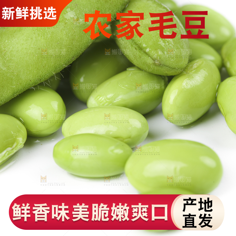 白底上放着四川新鲜毛豆