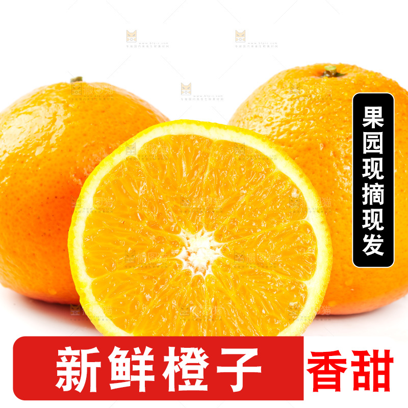白底上放着新鲜橙子