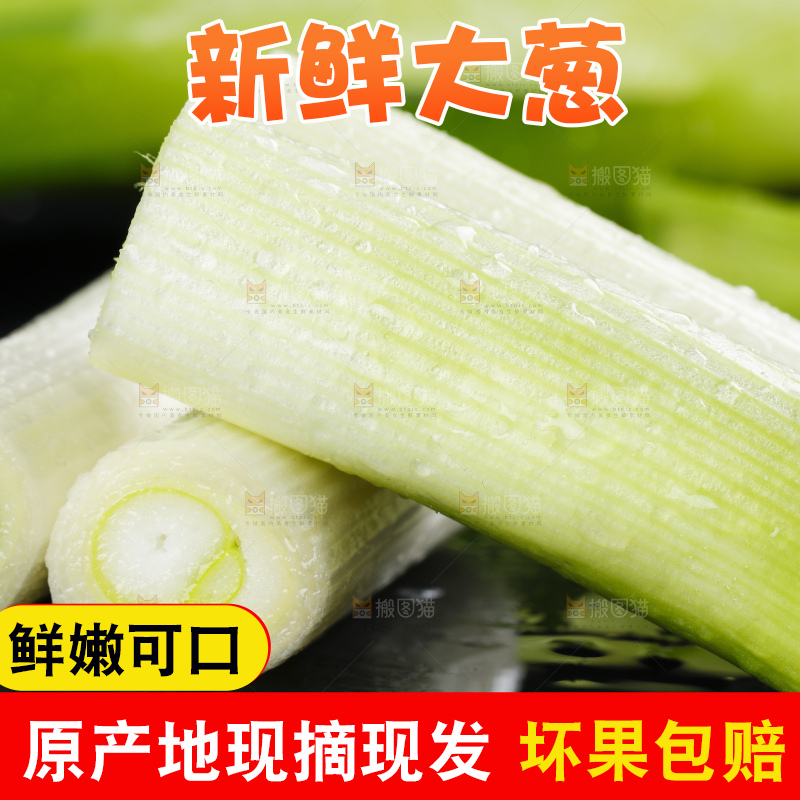 石板上的山东大葱