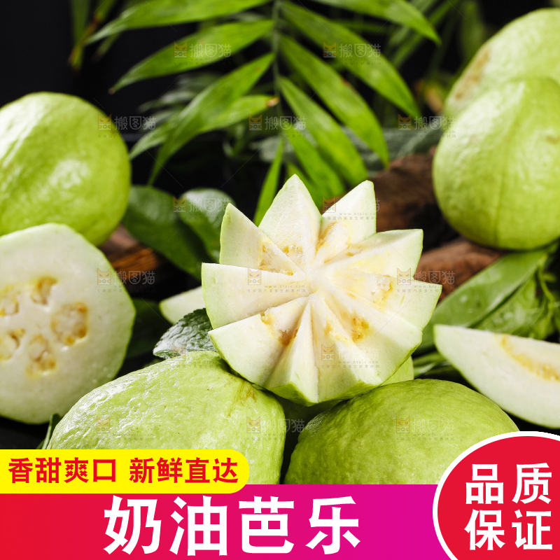 一堆新鲜的广西白心芭乐