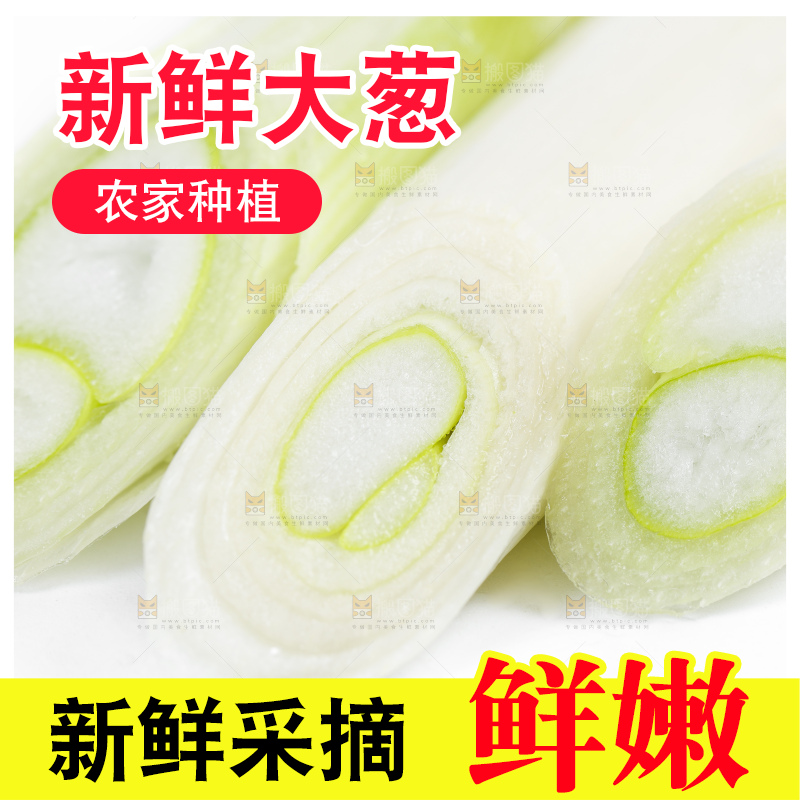 白底上的新鲜大葱