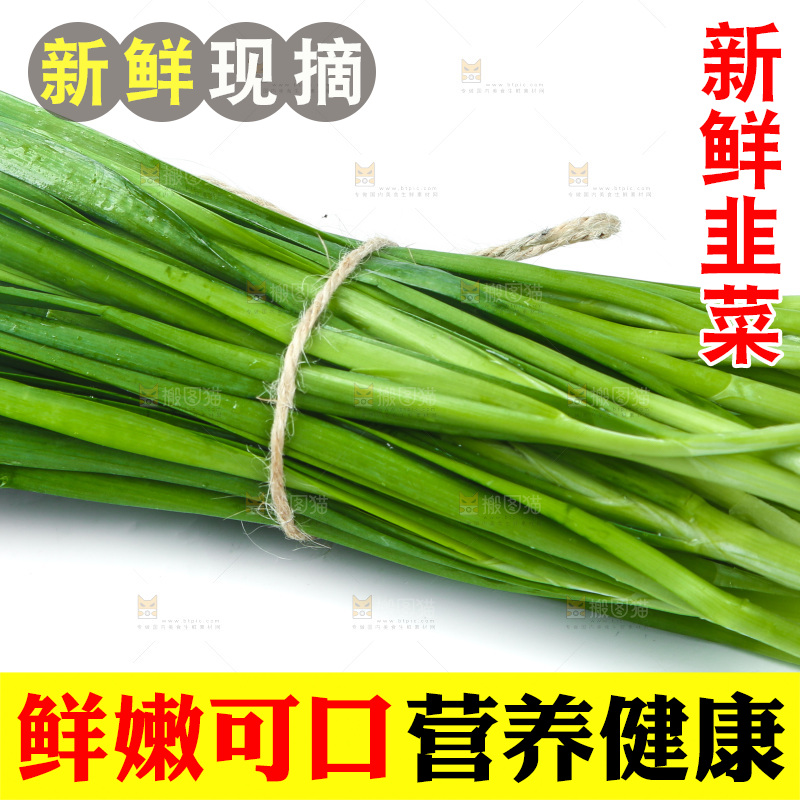 白底上放着新鲜韭菜