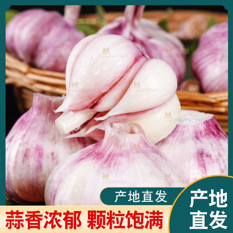 石板上放着云南新鲜紫皮大蒜