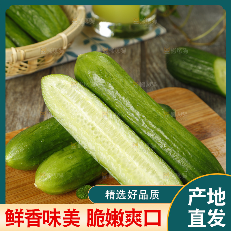 新鲜的山东水果黄瓜放在木板上