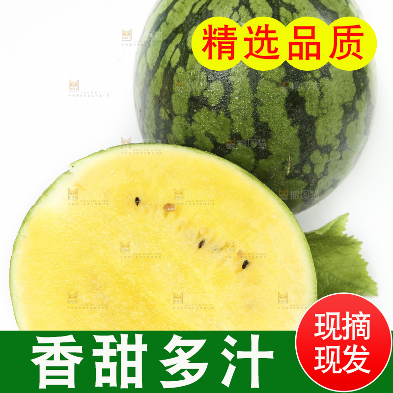 海南新鲜特小凤黄肉西瓜放在白底上