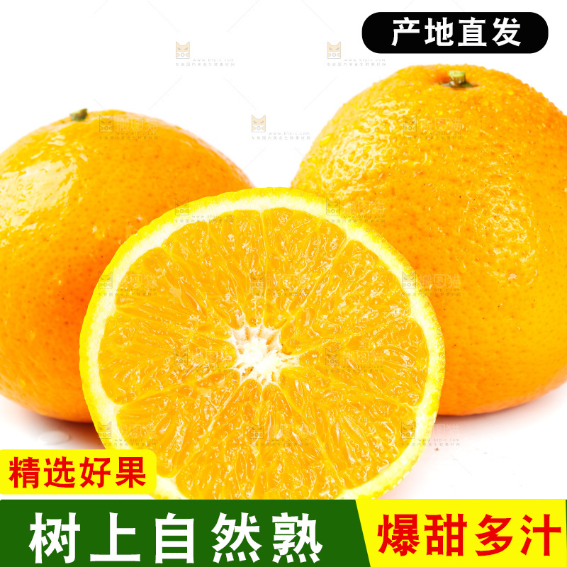 白底上放着新鲜橙子
