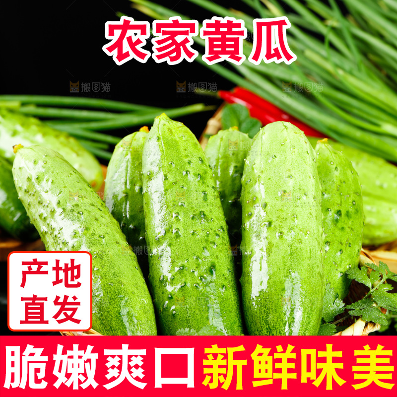 篮子里的黄瓜